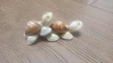 Sevgililer Günü, kaplumbağalar.