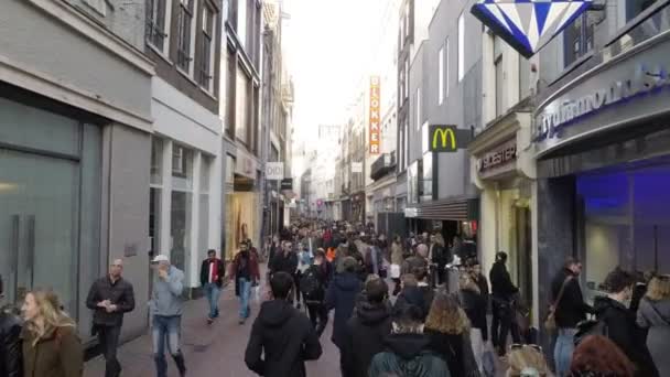 Amsterdam Erdstraße — Stockvideo