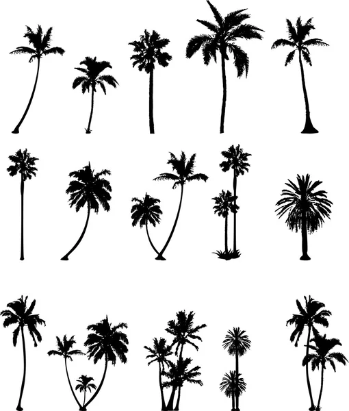 Coleção silhueta palmeira — Fotografia de Stock