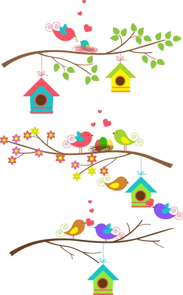 Kleurrijke vogels vliegen en vogel in een kooi — Stockfoto