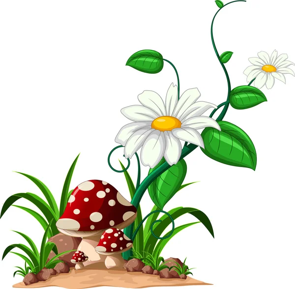Mushrooms in the garden — Stock Photo, Image
