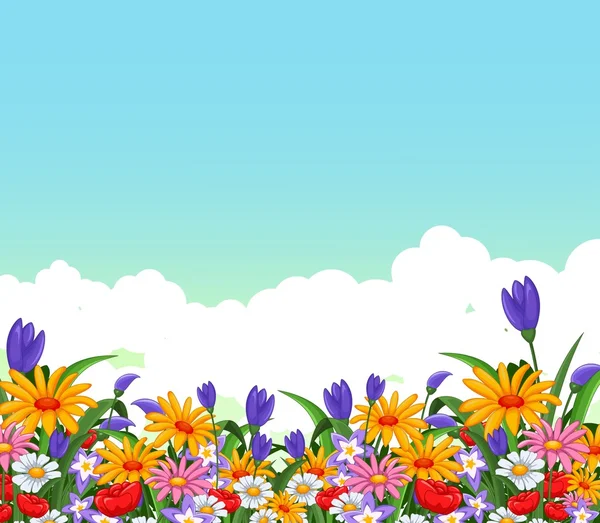 Flowers garden for you design — Stock Photo, Image