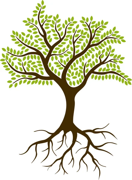 Träd silhouette för du design — Stockfoto