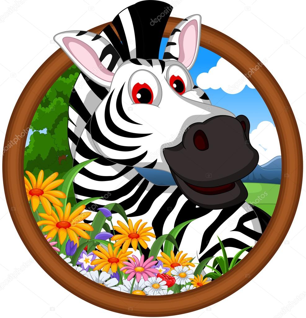 zebra cartoon in frame