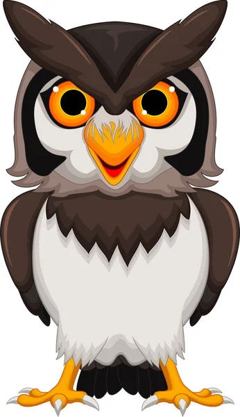 Cute owl cartoon posing — Stock Photo, Image