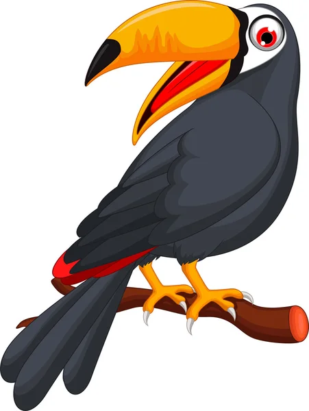 Pássaro tucano bonito desenhos animados — Fotografia de Stock