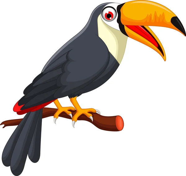 Lindo pájaro de dibujos animados toucan —  Fotos de Stock