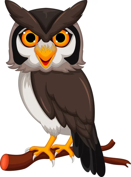 Cute owl cartoon posing — Stock Photo, Image