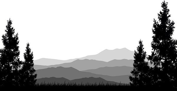 pine tree silhouette with mountain background