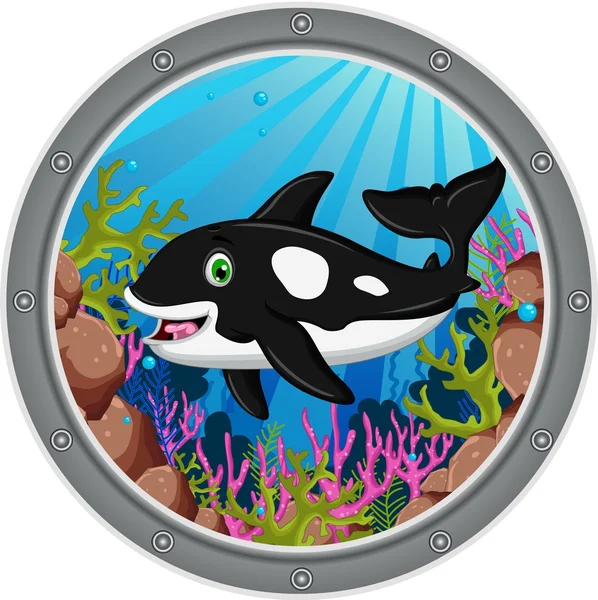 Desenhos animados de baleia assassina — Fotografia de Stock