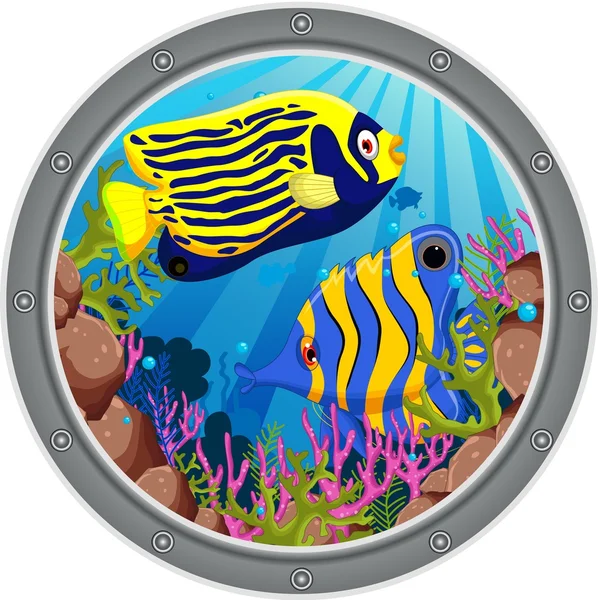 Anjo peixe desenhos animados — Fotografia de Stock
