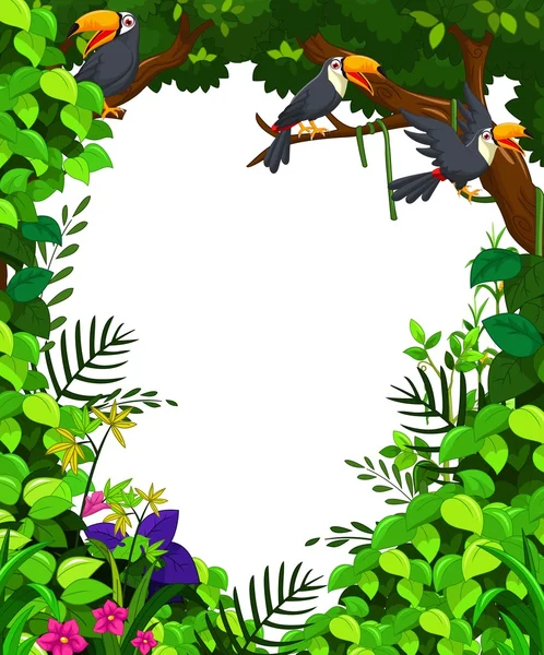 巨嘴鸟在绿色森林 — 图库照片