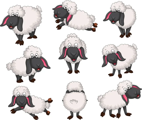 Гарний набір векторних мультиплікаційних овець для вашого дизайну — стокове фото