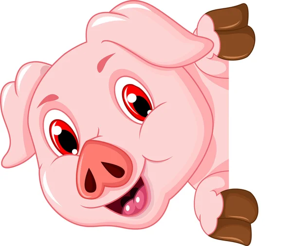 Engraçado porco cartoon segurando sinal em branco — Fotografia de Stock