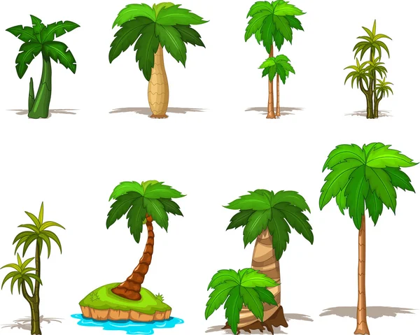 Palm Tree Collection — Stockfoto