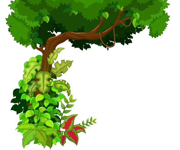 Grüner Baumhintergrund — Stockfoto