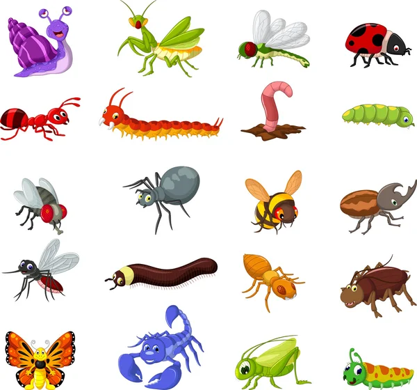 Colección de dibujos animados insectos para el diseño — Foto de Stock