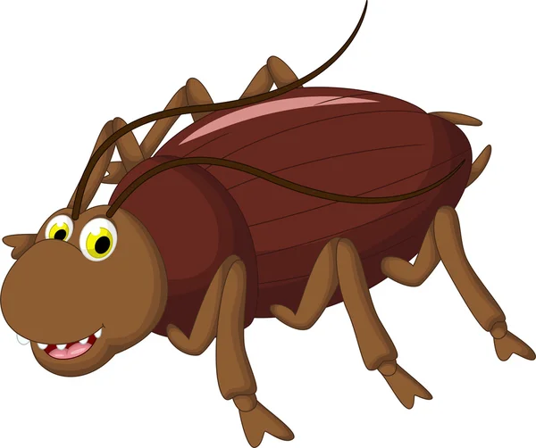 Cockroach cartoon for you design — Stock Photo, Image