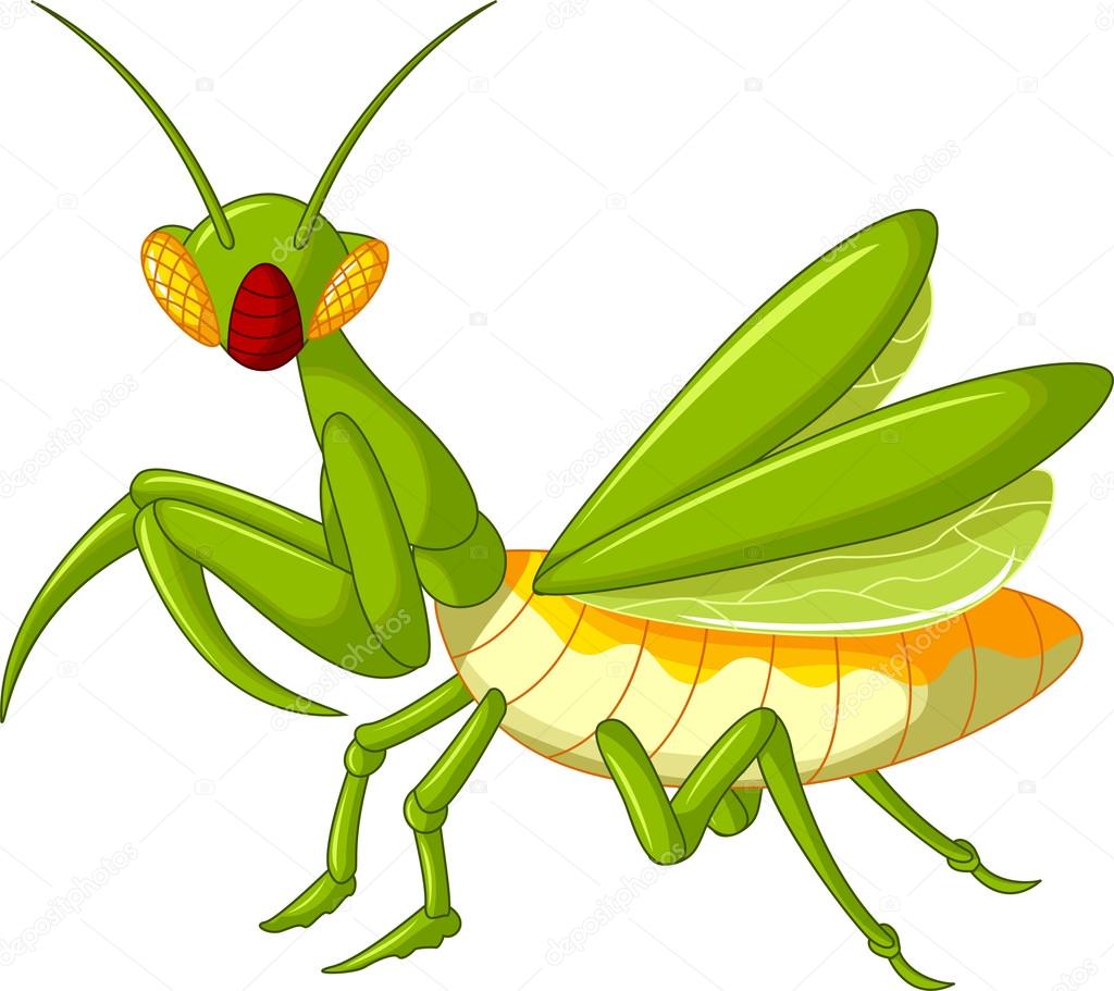 Praying mantis grasshopper cartoon
