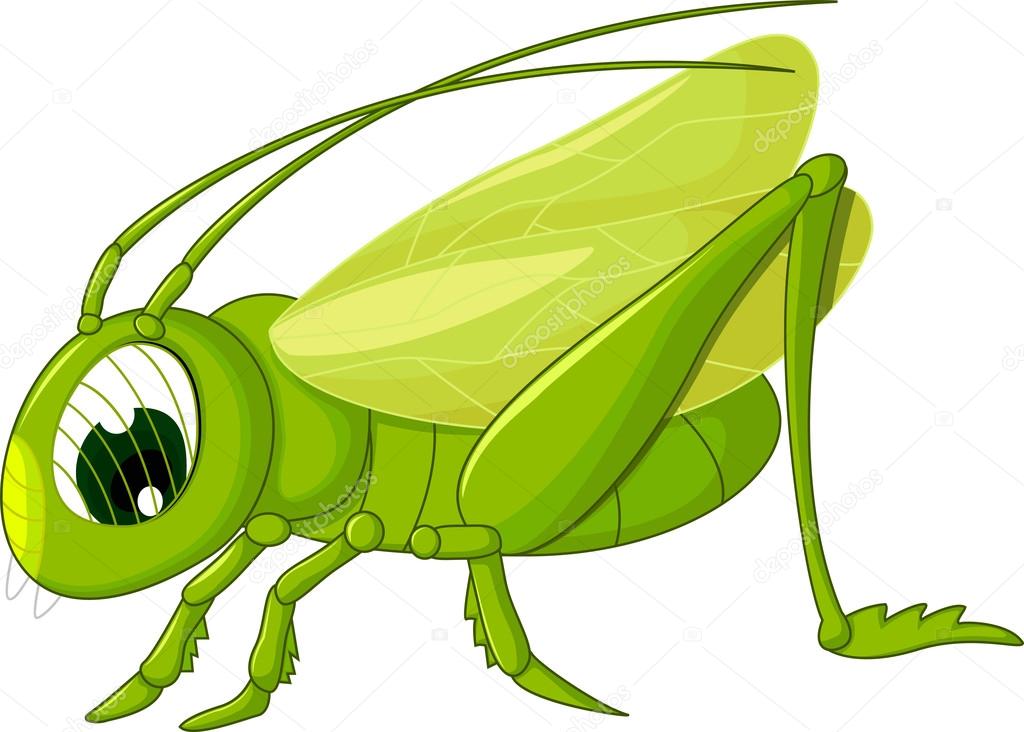 cute grasshopper cartoon