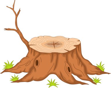 kök ağaç karikatür