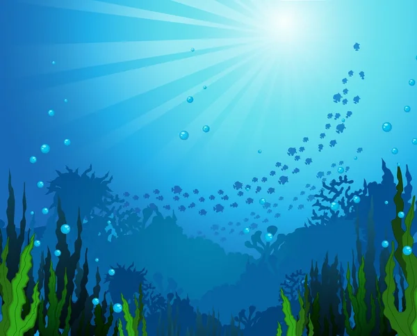 Güzellik deniz hayat arka plan