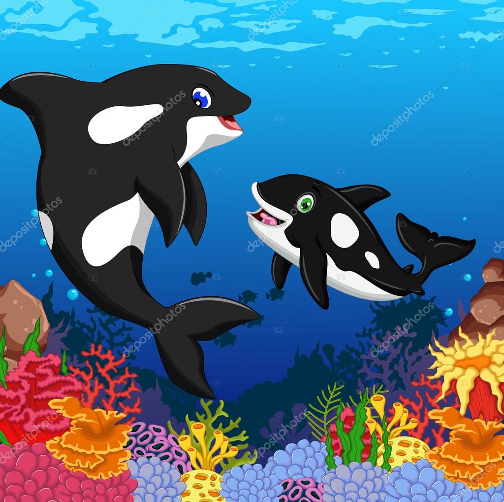 Killer whales cartoon with underwater view and coral background ⬇ Stock ...