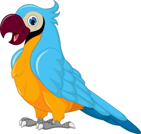귀여운 앵무새 만화 — 스톡 사진