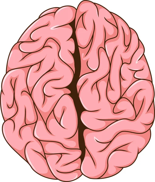 Dibujos animados del cerebro izquierdo y derecho humano — Foto de Stock