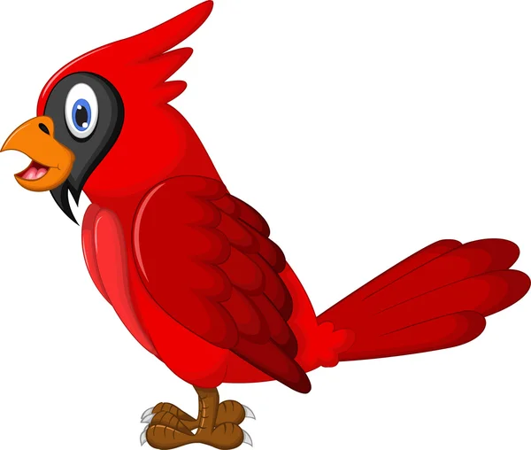 Niedlicher Papagei-Cartoon — Stockfoto