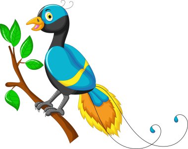 şirin cennet kuş çizgi film