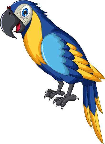 Rajzfilm aranyos papagáj — Stock Fotó