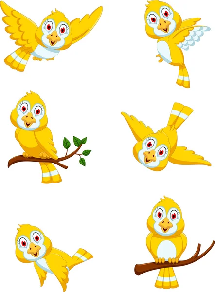 Set di giallo uccello cartone animato posa — Foto Stock