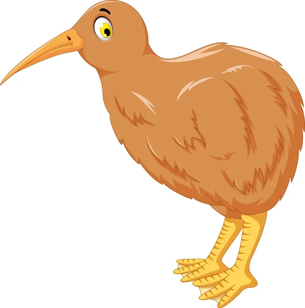 Niedlichen Kiwi Vogel Karikatur für Sie entwerfen — Stockfoto