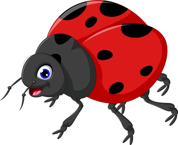 Симпатичный ladybug мультфильм для вас дизайн — стоковое фото