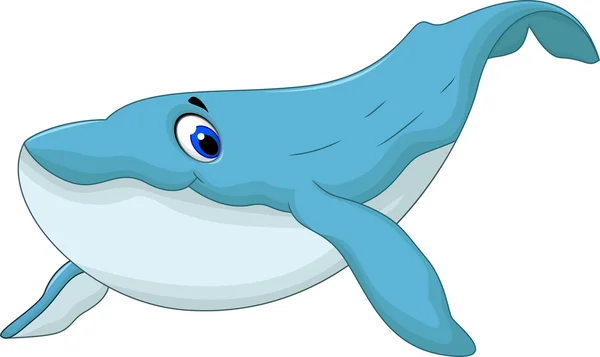 Płetwal błękitny Śliczne kreskówka dla projektowania — Zdjęcie stockowe