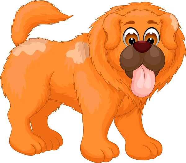笑みを浮かべて立っているかわいいチャウチャウ犬漫画 — ストック写真