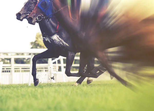 Horse racing, selective focus and blurred, vintage effect — Stock Photo, Image