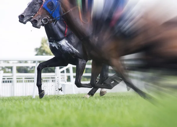 Horse racing, selective focus and blurred — Stock Photo, Image