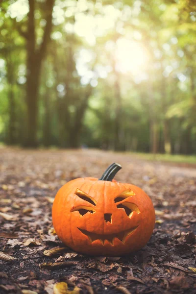 Halloween tök őszi parkban sunligh közelről — Stock Fotó