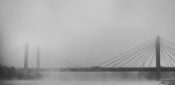 Camión de transporte en una carretera con niebla y amanecer — Foto de Stock