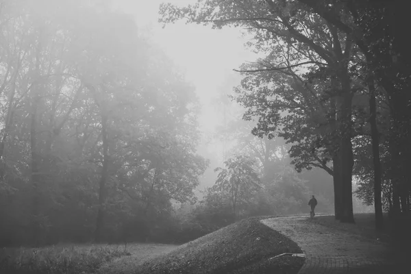 Homme marche à travers le parc brumeux — Photo