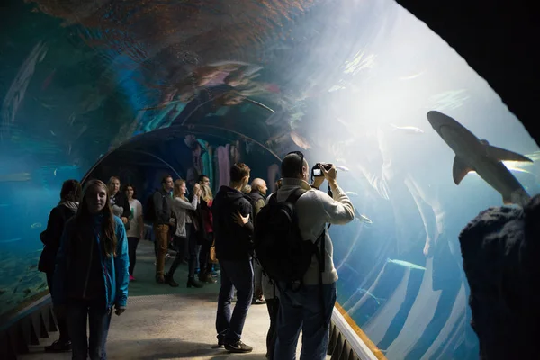 对现代动物园程式化到非洲"Africarium"在弗罗茨瓦夫，波兰的弗罗茨瓦夫，波兰-2016 年 10 月 22 日︰ 水族馆。2016 年 10 月 22 日: — 图库照片