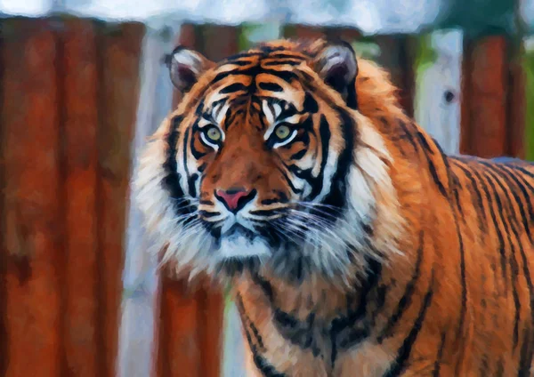 Primer plano en la cara de tigre, efecto de pintura digital —  Fotos de Stock