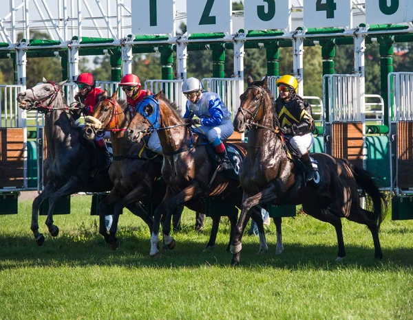 Wroclaw, Polonia, 7 de agosto de 2016, carreras de caballos en Wroclaw — Foto de Stock