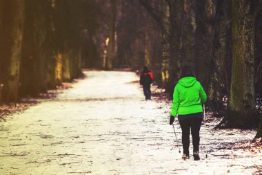 Kuzey Yürüyüşü park, kış, vintage etkisi
