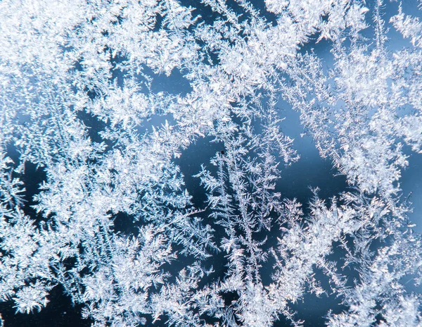 Les motifs faits par le gel sur la fenêtre — Photo