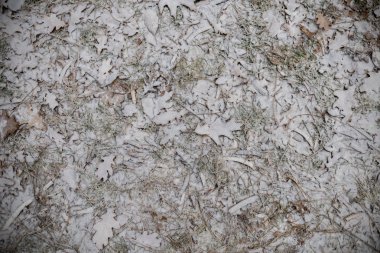 zemin, arka plan veya doku üzerinde kar ve don