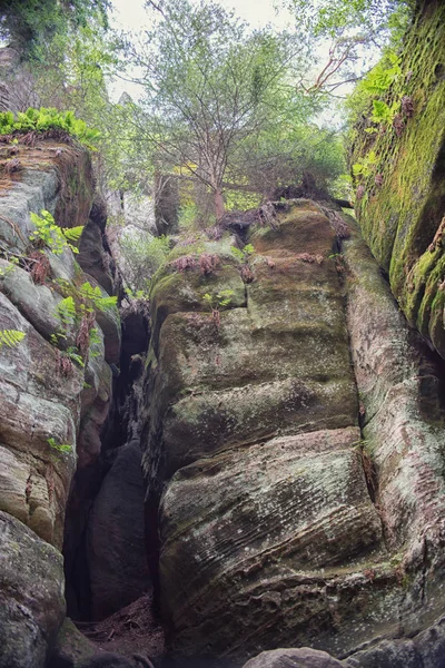 Protected Rock CIty in Nature, Adrspach, República Checa — Foto de Stock