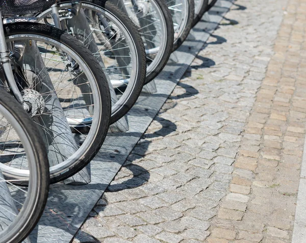 Primer plano en las ruedas de la bicicleta en fila — Foto de Stock